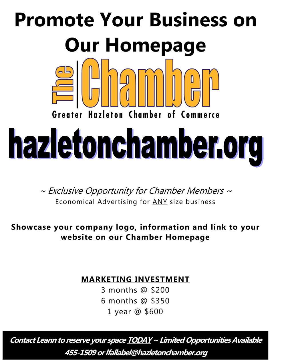 website advertising